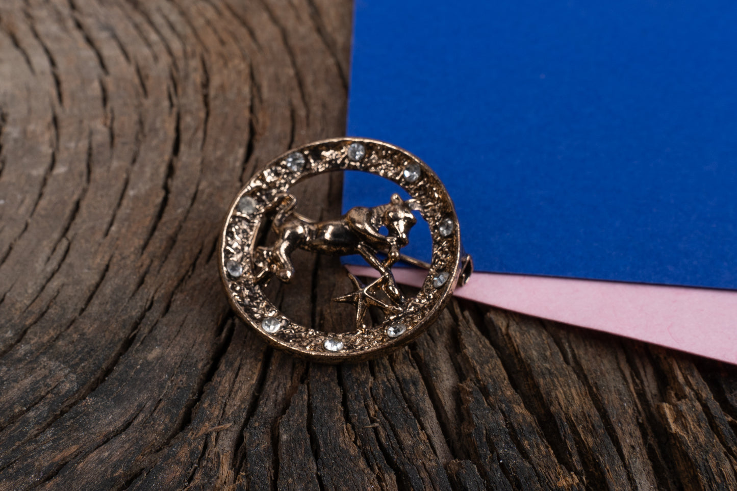 Stellar Hunter Brooch Pin for Men